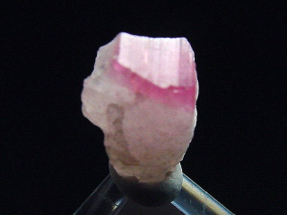Pezzottait Kristall 8 mm selten - Ambavalosa, Madag.
