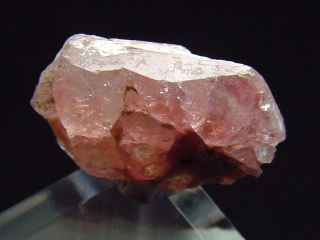 Pezzottait Kristall 13 mm selten - Ambavalosa, Madag.