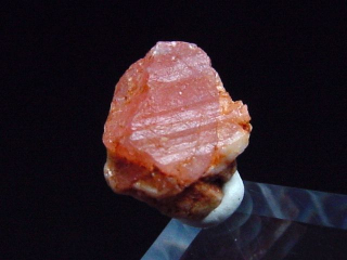 Pezzottait Kristall 8,5 mm selten - Ambatovita, Madag.