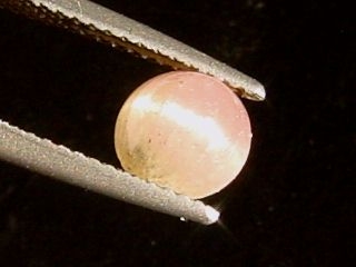 Tourmaline catseye 1,68 Ct. - bicolor round cabochon
