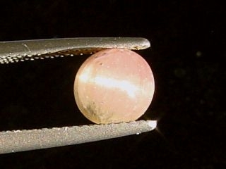 Tourmaline catseye 1,68 Ct. - bicolor round cabochon