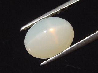 Star Moonstone 8,44 Ct. oval cabochon Sri Lanka