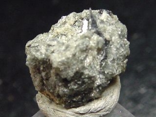 Forsterite - richly covered specimen 15 mm - Kola, Russia