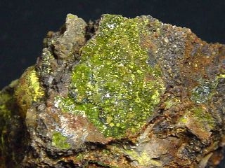 Volborthite specimen 46 mm - Monument mine, Arizona, USA