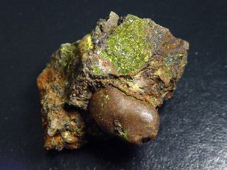 Volborthite specimen 46 mm - Monument mine, Arizona, USA