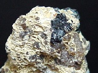 Neptunite specimen 14,5 mm - Lovozero, Russia