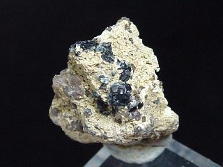 Neptunite specimen 14,5 mm - Lovozero, Russia