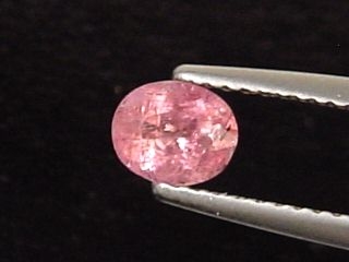 Pezzottaite 0,45 Ct. - fine color oval - Madagascar
