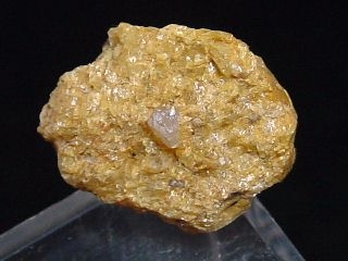 Forsterite specimen 13 mm - white crystals - Baikal, Russia