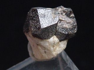 Lorenzite specimen 11 mm - black crystals - Lovozero, Russia