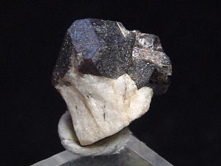 Lorenzite specimen 11 mm - black crystals - Lovozero, Russia