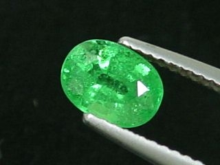 Tsavorite Garnet 1,29 Ct. - fine green oval - Kenya
