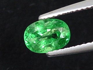 Tsavorite Garnet 1,20 Ct. - fine green oval - Kenya
