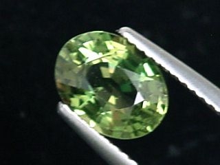 Apatite 1,98 Ct. oval -  fine green - Madagascar