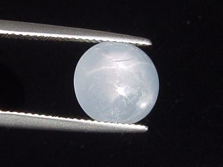 Blue Star Sapphire 6,60 Ct. - oval cabochon - Sri Lanka