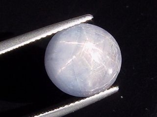 Blue Star Sapphire 9,30 Ct. - oval cabochon - Sri Lanka
