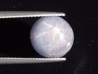 Blue Star Sapphire 9,30 Ct. - oval cabochon - Sri Lanka