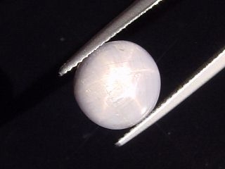 Star Sapphire 6,71 Ct. - blue violet - oval cabochon