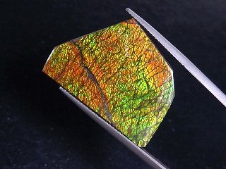Ammolite 26,77 Ct. fine colorplay - cabochon 29 mm