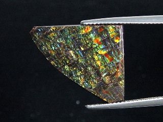 Ammolite 12,55 Ct. fine colorplay - cabochon 24,5 mm