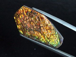 Ammolite 14,86 Ct. multicolor - fancy cabochon 29,5 mm