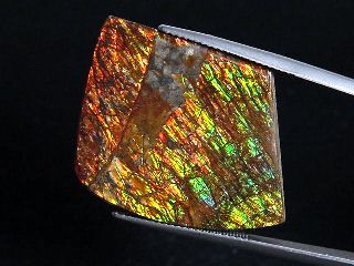 Ammolite 33,59 Ct. multicolor - fancy cabochon 34,5 mm
