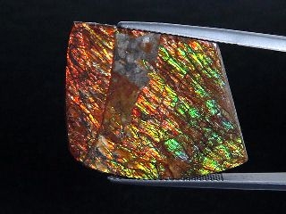 Ammolite 33,59 Ct. multicolor - fancy cabochon 34,5 mm