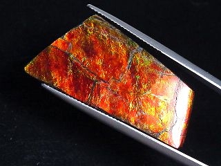 Ammolite 29,83 Ct. fine colorplay - cabochon 36 mm