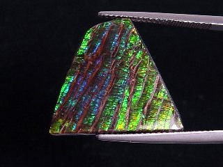 Ammolite 15,16 Ct. fine colorplay - Cabochon 21 mm