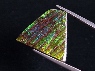 Ammolite 15,16 Ct. fine colorplay - Cabochon 21 mm
