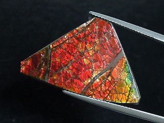 Ammolite 21,80 Ct. multicolor - fancy Cabochon 32 mm