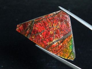Ammolite 21,80 Ct. multicolor - fancy Cabochon 32 mm