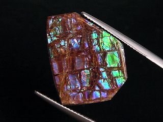Ammolite 16,83 Ct. multicolor - fancy cabochon 21 mm