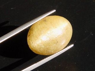 Apatite Catseye 28,79 Ct. - oval cabochon - Brazil