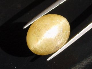 Apatite Catseye 28,79 Ct. - oval cabochon - Brazil