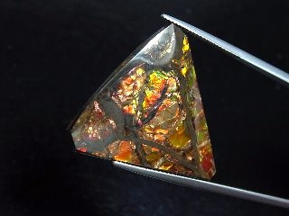 Ammolite 28,04 Ct. multicolor - fancy cabochon 30 mm