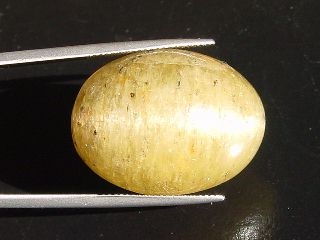 Apatit Katzenauge 73,76 Ct. - Oval Cabochon - Brasilien