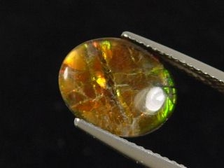 Ammolite 3,77 Ct. fine oval cabochon - Canada