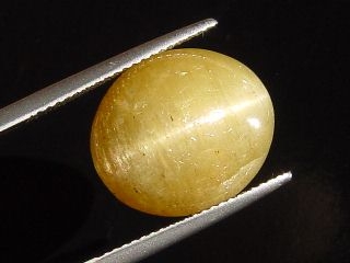 Apatite Catseye 20,61 Ct. yellow oval cabochon