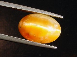 Opal Catseye 8,99 Ct. oval cabochon Brazil