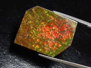 Ammolite 30,30 Ct. fine multicolor - cabochon 25,5 mm
