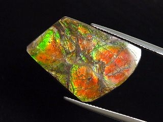 Ammolite 21,84 Ct. fine multicolor - cabochon 29 mm