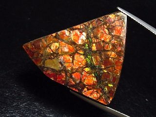 Ammolite 35,15 Ct. multicolor - fancy cabochon 34 mm
