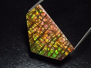 Ammolite 26,59 Ct. multicolor - fancy cabochon 35 mm