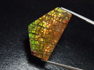 Ammolite 26,59 Ct. multicolor - fancy cabochon 35 mm
