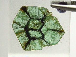 Trapiche Tourmaline - very rare - 17 mm Zambia B-quality