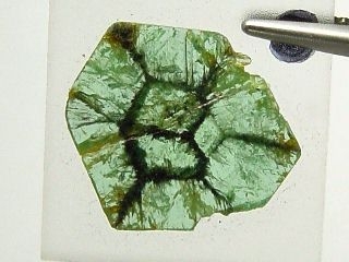 Trapiche Tourmaline - very rare - 17 mm Zambia B-quality
