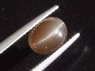 Scapolite Catseye 2,49 Ct. brown cabochon Madagascar