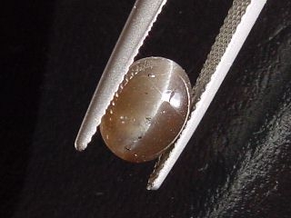 Scapolite Catseye 2,49 Ct. brown cabochon Madagascar