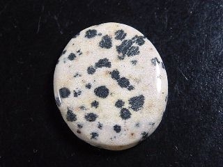 Dalmatian Jasper 30,03 Ct. oval cabochon